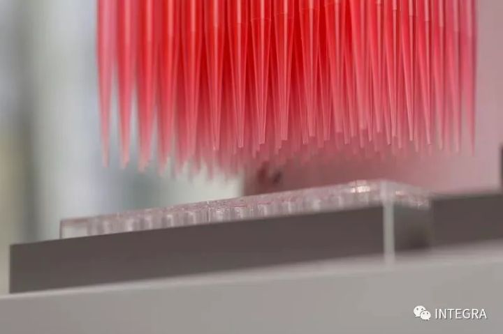 1608880658216220.jpg